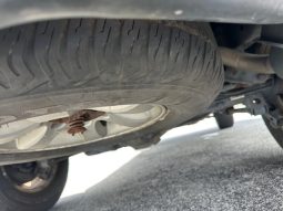 2006 Toyota 4Runner full